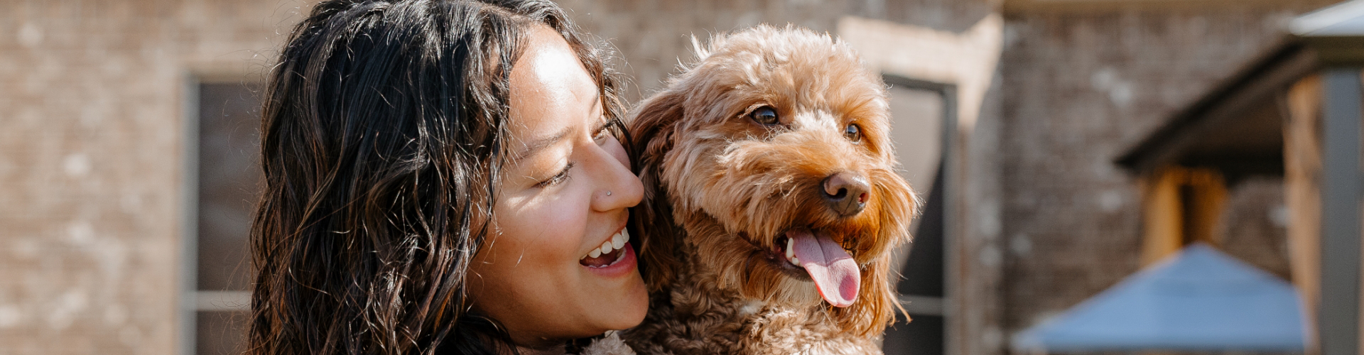 A young woman holds a fluffy dog while pet sitting.